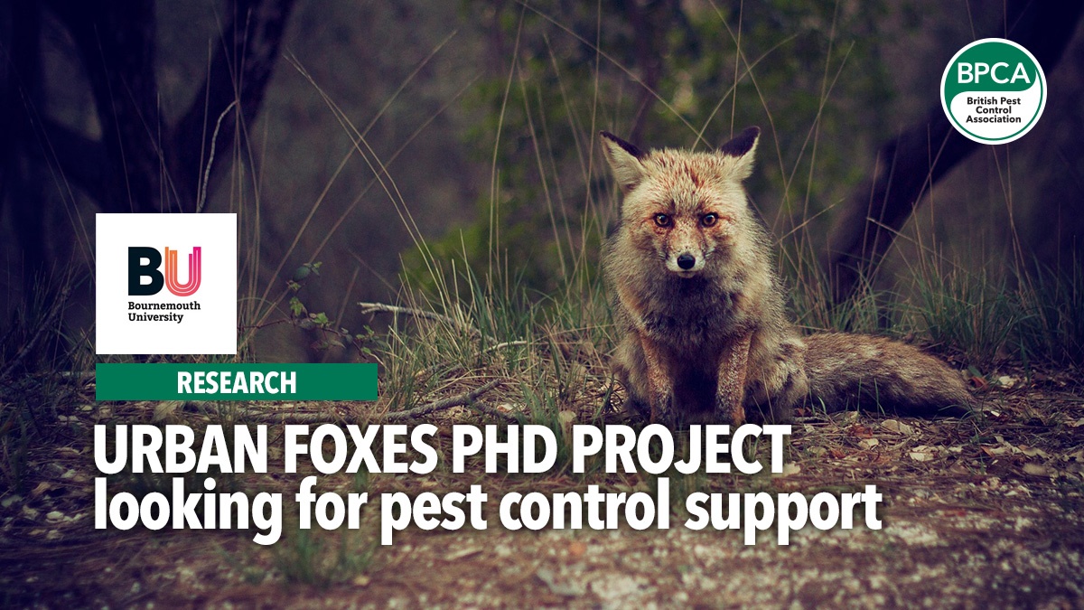 urbanfoxedphdprojectlookingforsupport urbanfoxedphdprojectlookingforsupport